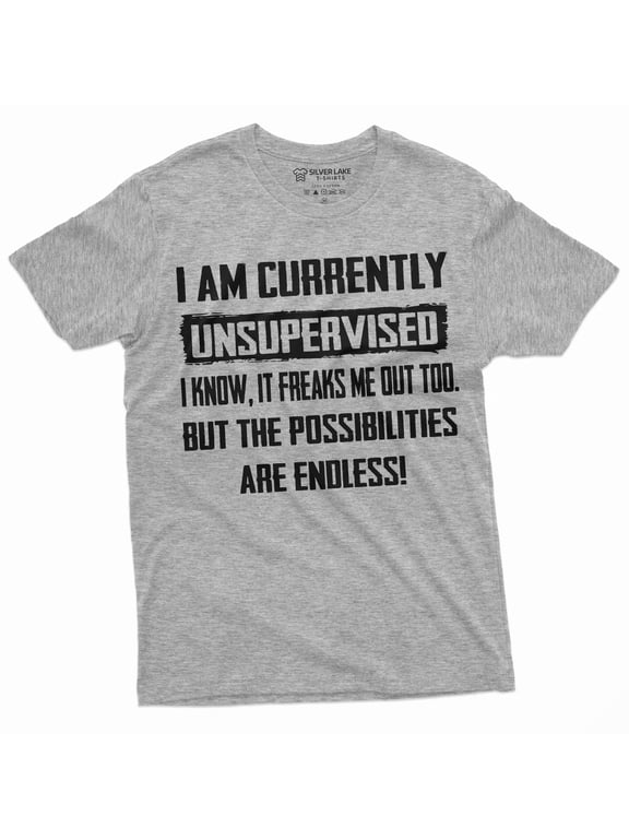 Men'S Funny T-Shirt I Am Currently Unsupervised T-Shirt Hilarious Funny Saying Tee For Him (Small Grey)