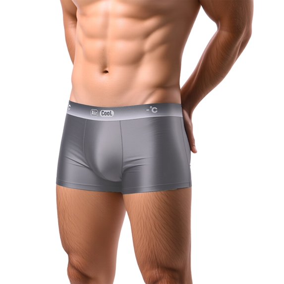 Men'S Ultra Thin Ice Silk Breathable Boxer Briefs Style 044-H XL