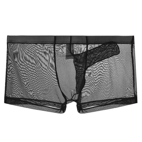 Men Sexy Mesh Boxer Briefs Low Rise Stretch Breathable Underwear Boxer