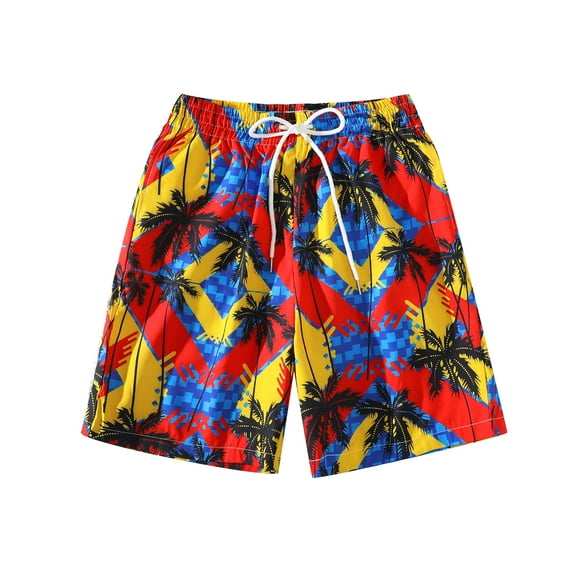 Men Swimwear Swimming Shorts Men Summer Beach Shorts Multicolor, Size S to 2XL