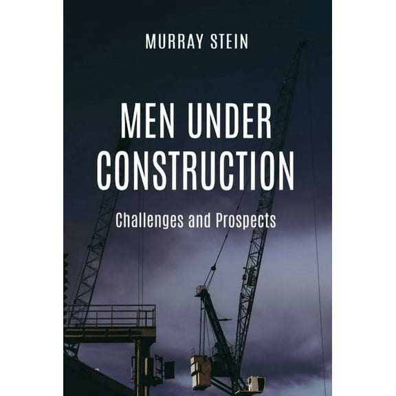 Men Under Construction: Challenges and Prospects (Hardcover)