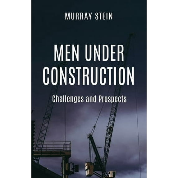 Men Under Construction: Challenges and Prospects (Paperback)