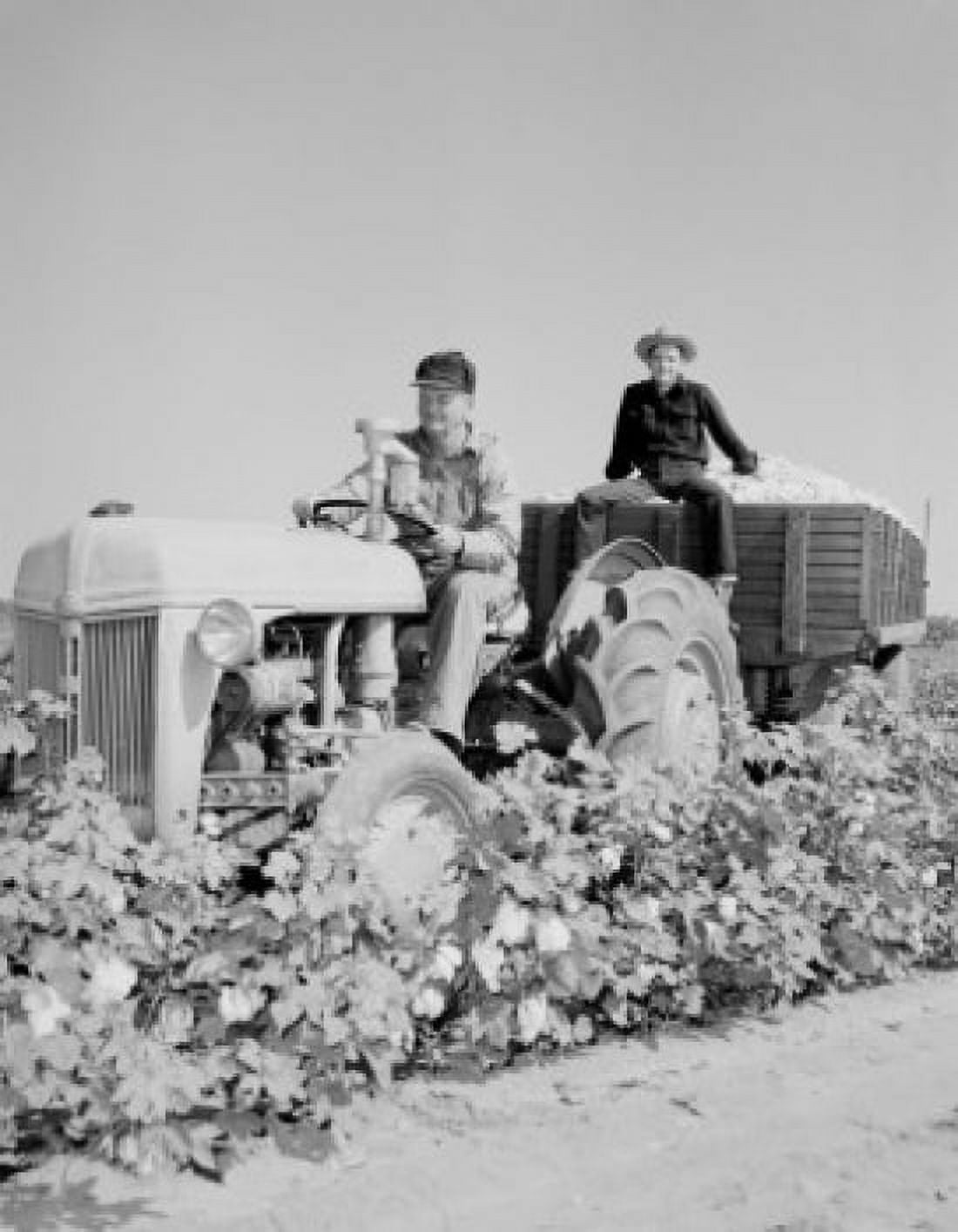 Men on tractor Canvas Art - (24 x 36)