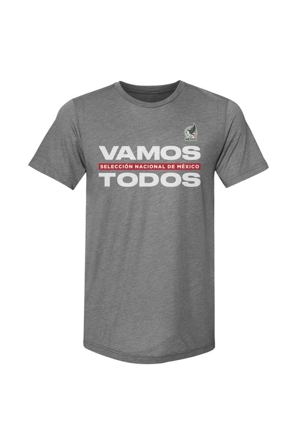 Men's 500 Level Gray Mexico National Team Vamos Todos Premium Tri-Blend T-Shirt