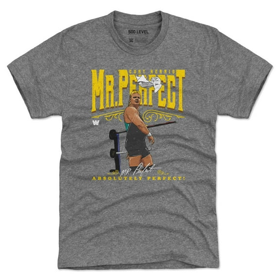 Men's 500 Level Heather Gray Mr. Perfect Absolutely Perfect Tri-Blend T-Shirt
