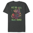 thumbnail image 1 of Men's Alice in Wonderland Rainbow Cheshire  Graphic Tee Charcoal X Large, 1 of 5