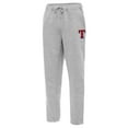 thumbnail image 1 of Men's Antigua  Heather Gray Texas Rangers Victory Jogger Pants, 1 of 1