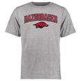thumbnail image 1 of Men's Ash Arkansas Razorbacks Proud Mascot T-Shirt, 1 of 2