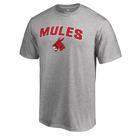 Men's Ash Central Missouri Mules Proud Mascot T-Shirt
