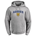 thumbnail image 1 of Men's Ash North Carolina A&T Aggies Proud Mascot Pullover Hoodie, 1 of 2