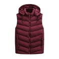 thumbnail image 1 of Men's Autumn&Winter Solid Color Sleeveless Zipper Hooded Vest Parkas, 1 of 4