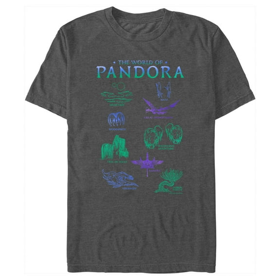 Men's Avatar The World of Pandora  Graphic Tee Charcoal Heather Large