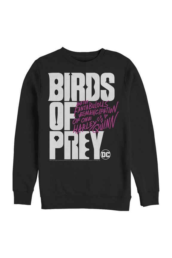 Men's Birds of Prey Bold Text Logo  Sweatshirt Black 2X Large