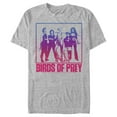 thumbnail image 1 of Men's Birds of Prey Harley's Team Frame  Graphic Tee Athletic Heather Large, 1 of 4