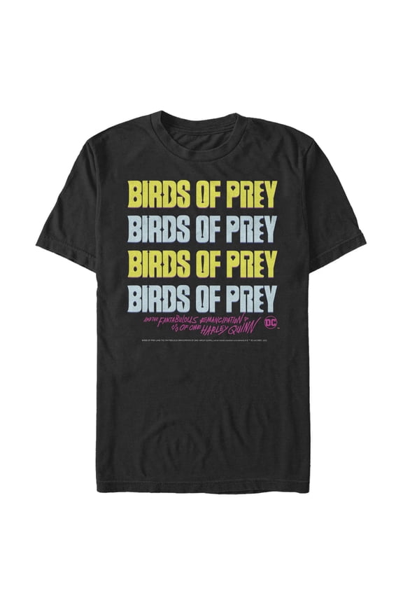 Men's Birds of Prey Logo Stack Graphic Tee Black Large