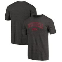 Men's Black Arkansas Razorbacks Arched City Tri-Blend T-Shirt