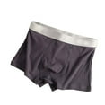 thumbnail image 1 of Men's Boxer Briefs Bunker Underwear Fruit Briefs Men Underwear Men Hairy I Fit Seamless Mens Mens 2xl Brief for Big And Tall New Dark Gray L, 1 of 3