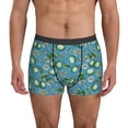 thumbnail image 1 of Men's Boxer Briefs, Cute Limes Leaves Flowers Blue Soft Comfy Mens Underwear Boxer Briefs Breathable With Widen Waist, 1 of 7