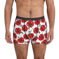 thumbnail image 1 of Men's Boxer Briefs, Cute Pumpkin Tomato Soft Comfy Mens Underwear Boxer Briefs Breathable With Widen Waist, 1 of 7