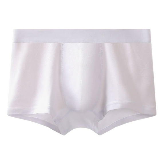 Men's Boxer Briefs Deliver by Tomorrow 2xl Mens Underwear Mens 2x Underwear 2xl Glow in The Dark Men's Brief Men Quick Y Sweat Proof for Men Small White 2XL