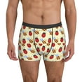 thumbnail image 1 of Men's Boxer Briefs, Ladybug And Bee Soft Comfy Mens Underwear Boxer Briefs Breathable With Widen Waist, 1 of 7