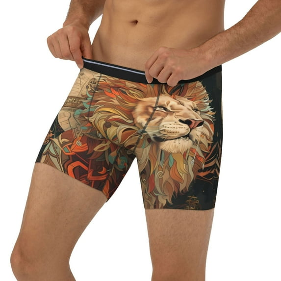 Men's Boxer Briefs, Majestic Cosmic Lion Soft and Breathable Mens Underwear Boxer Briefs With Widen Waist