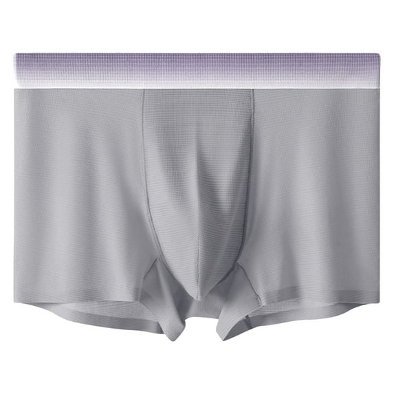 Men's Boxer Briefs Men Shorts under Shorts for Men Underwear S Nylon Underwear Mens Brief Ring for Steel Brief Male Lingerie First Place G Pack of Cute Male Ice Silk Summer Cool Grey XL