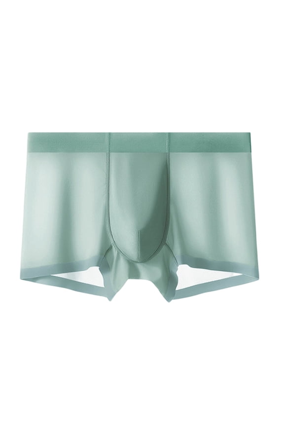 Men’s Boxer Briefs – Super Soft, Breathable, Ice Silk Underwear | Premium Comfort Light Green 4XL