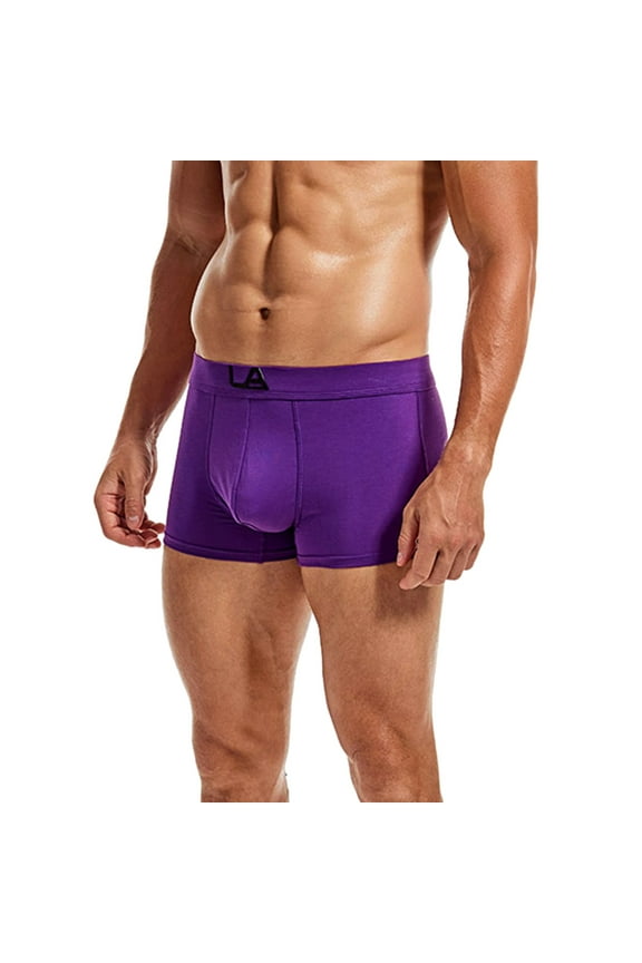 Men's Boxer Briefs Underwear Men Pack Men Most Comfortable Mens Underwear Silk Out of This World Microfiber Briefs Men's Brief Mens Brief Pack Guy Purple L