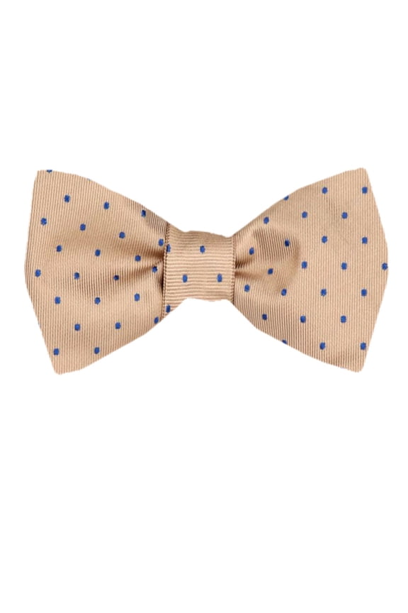 Men's Brown Taupe Ecru Silk Self Tie Bowtie Tie Yourself Bow Ties