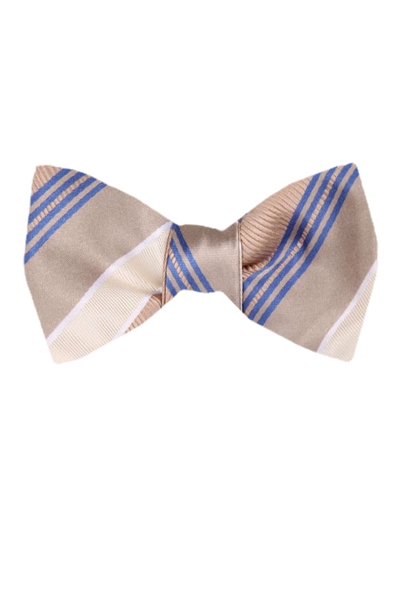 Men's Brown Taupe Ecru Silk Self Tie Bowtie Tie Yourself Bow Ties