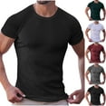 thumbnail image 1 of Men's Casual T-Shirt Polyester Round Neck Short Sleeve Solid Color Top Breathable Comfort Fit Daily Wear Streetworkout Summer Layering | Zenithor,Army Green M, 1 of 4