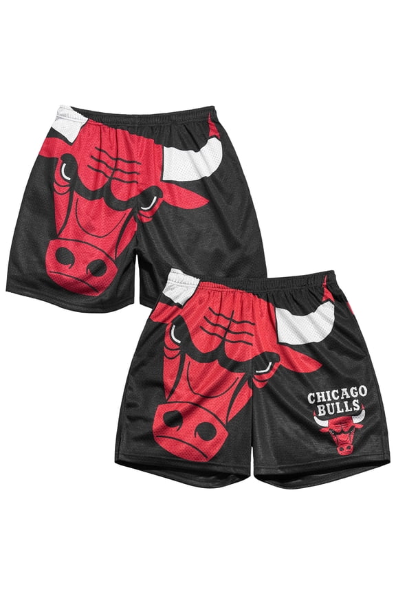 Men's Chalk Line Black Chicago Bulls Big Logo Retro Shorts