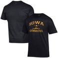 thumbnail image 1 of Men's Champion  Black Iowa Hawkeyes Gymnastics Icon T-Shirt, 1 of 3