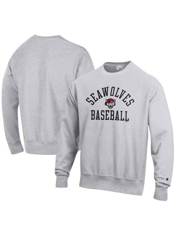 Men's Champion Gray Erie SeaWolves Baseball Reverse Weave Pullover Sweatshirt