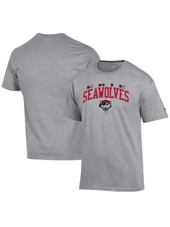 Men's Champion Gray Erie SeaWolves Jersey T-Shirt