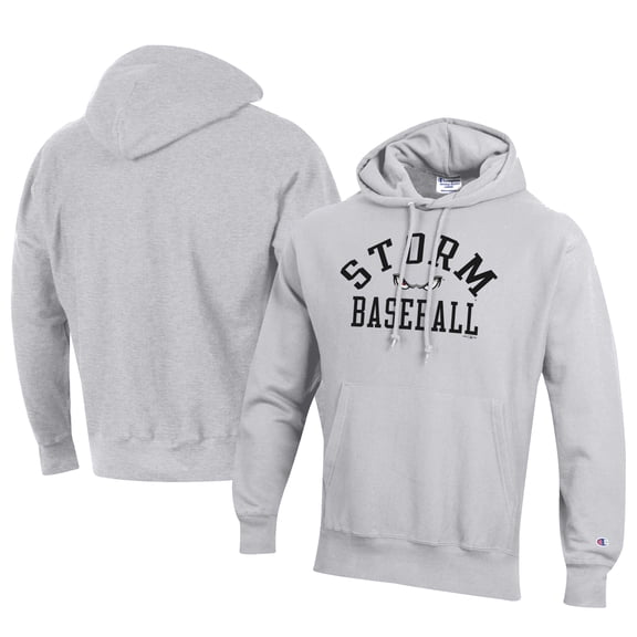 Men's Champion Gray Lake Elsinore Storm Baseball Reverse Weave Pullover Hoodie