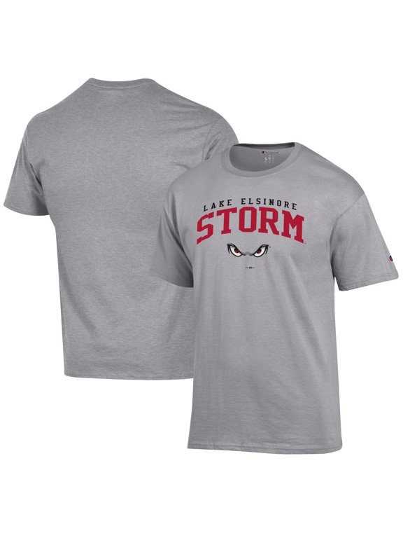 Men's Champion Gray Lake Elsinore Storm Jersey T-Shirt