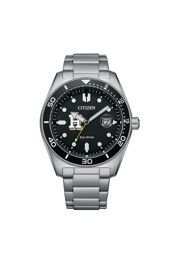 Men's Citizen Watch Silver Hamilton Continentals Eco-Drive Sport Casual Stainless Black Dial Steel Watch