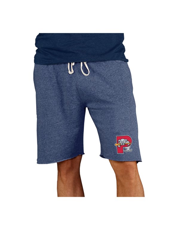 Men's Concepts Sport Navy Portland Sea Dogs Mainstream Tri-Blend Shorts