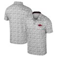thumbnail image 1 of Men's Colosseum White Arkansas Razorbacks Big & Tall It's Time! Allover Printed Polo, 1 of 3