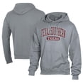 thumbnail image 1 of Men's Comfort Wash  Gray Texas Southern Tigers Lightweight Fleece Pullover Hoodie, 1 of 3