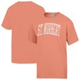 thumbnail image 1 of Men's ComfortWash  Orange St. Norbert Green Knights Distressed T-Shirt, 1 of 3