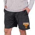 thumbnail image 1 of Men's Concepts Sport Charcoal Tennessee Volunteers Bullseye Knit Jam Shorts, 1 of 1
