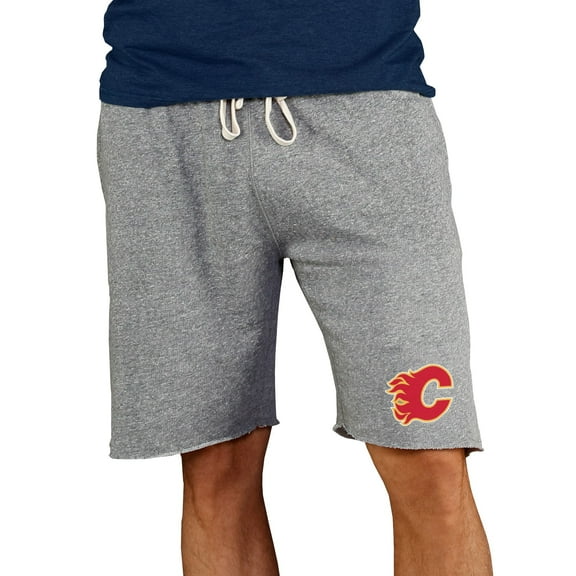 Men's Concepts Sport Gray Calgary Flames Mainstream Terry Shorts