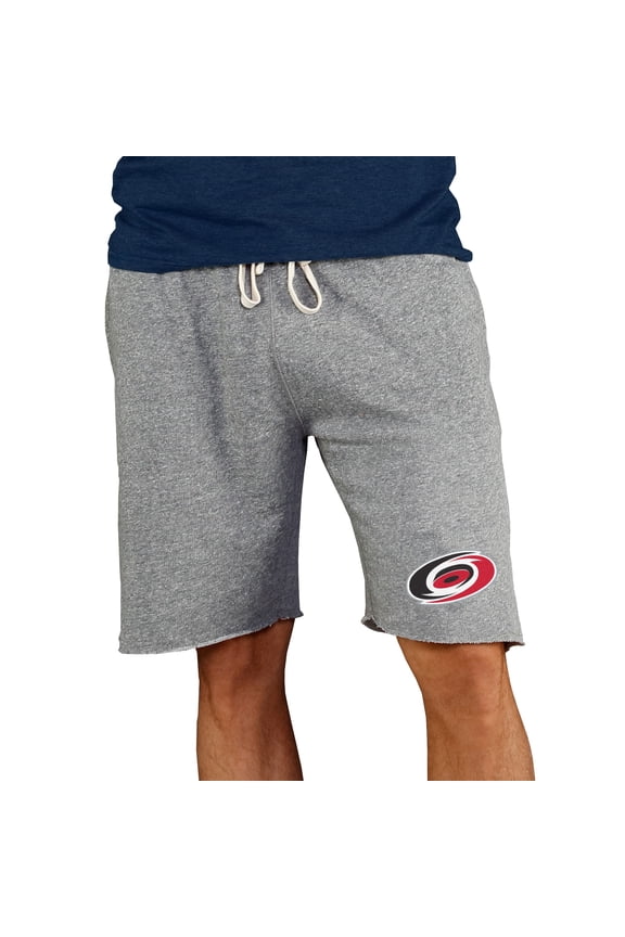 Men's Concepts Sport Gray Carolina Hurricanes Mainstream Terry Shorts