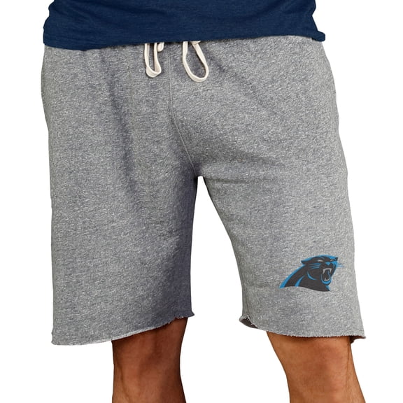 Men's Concepts Sport Gray Carolina Panthers Mainstream Terry Shorts