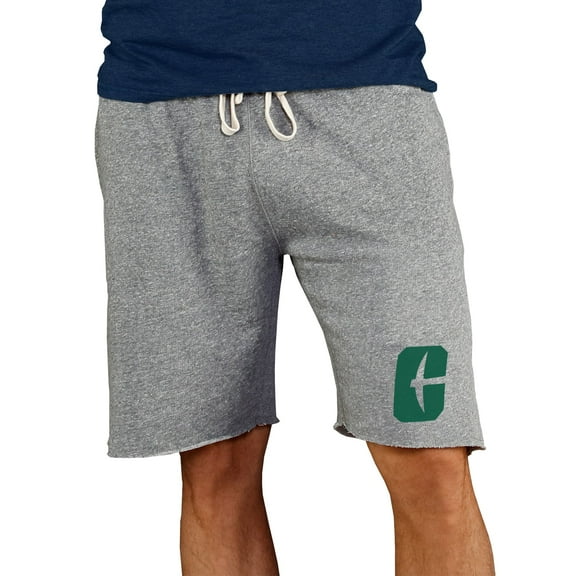 Men's Concepts Sport Gray Charlotte 49ers Mainstream Terry Shorts