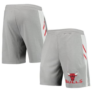 Nike Men's Chicago Bulls Grey Practice T-Shirt, Small, Gray | Holiday Gift