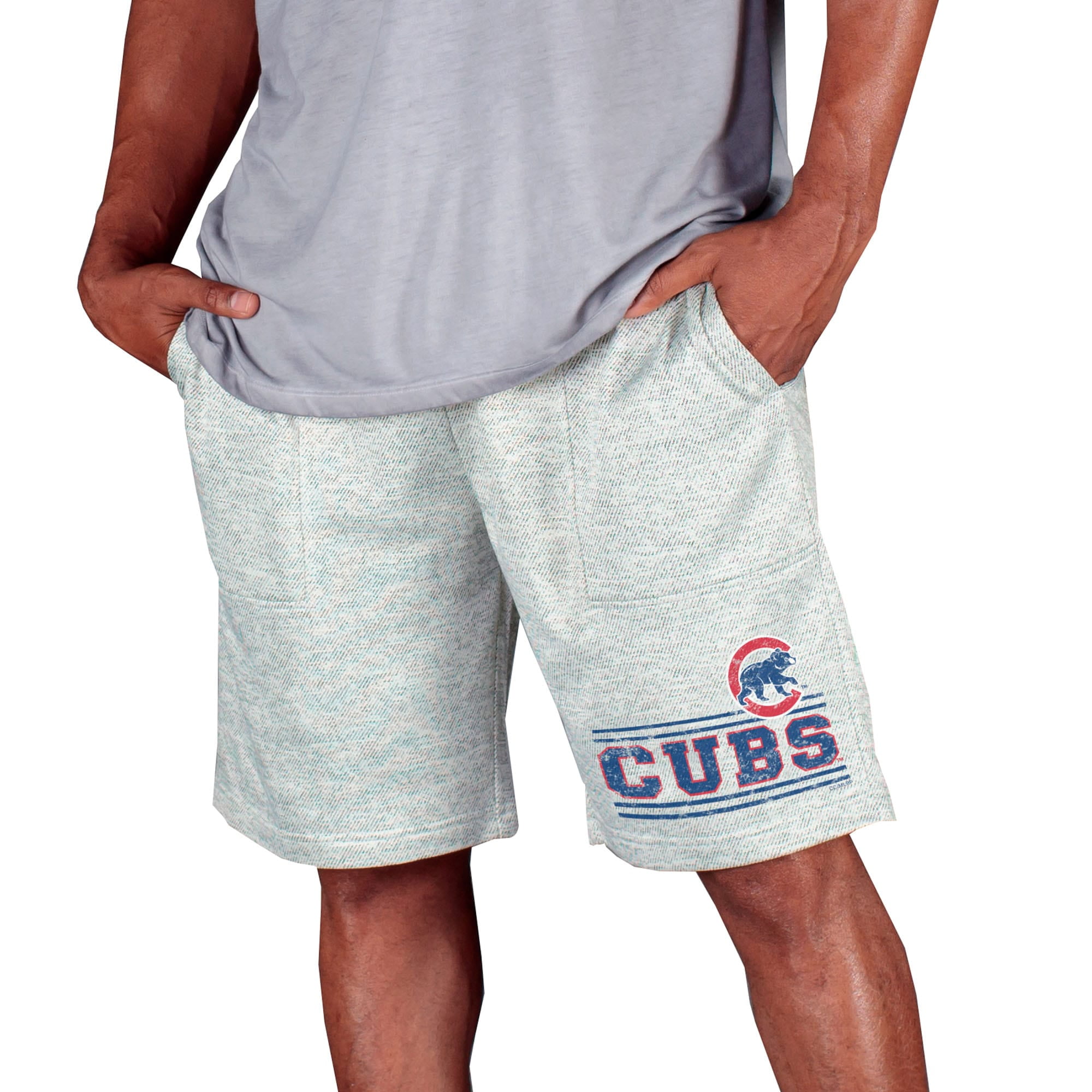 MLB Men's Chicago White Sox Knit Jam Shorts 